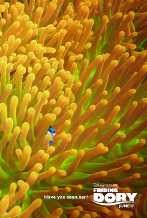 Poster Promocional #4 de 'Finding Dory'